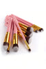 10 Piece Make up Brush Set