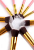 10 Piece Make up Brush Set