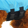 Shark Dog Swim Vest – Lightweight & Durable Life Jacket