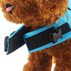Shark Dog Swim Vest – Lightweight & Durable Life Jacket